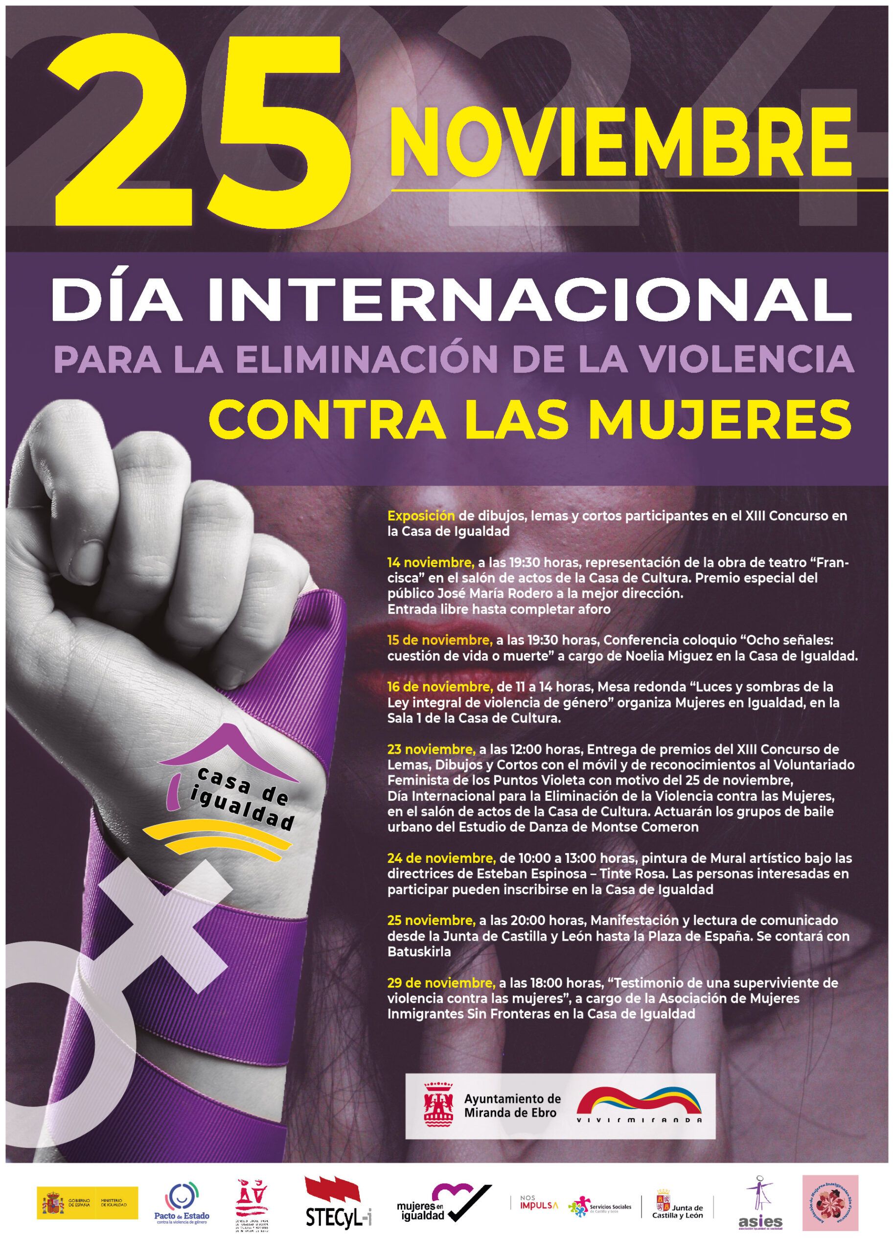 25 DE NOVIEMBRE – Día Internacional para la Eliminación de la Violencia contra las Mujeres